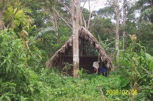 Nasarenos House - Kusutka